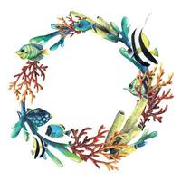 A round wreath, a frame with tropical bright fish and corals. Marine watercolor illustration. For the design and decoration of postcards, logos, packaging, prints, posters, invitations, certificates. vector