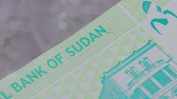 10 bank of Sudan pounds Sudanese national currency legal tender bill close up 3 video