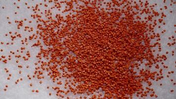 Macro frame of white and orange plastic granules. The polymer composite is poured into a tank for further production and casting in special molds. Production video