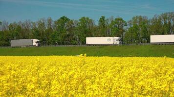 caravan of heavy vehicles moves along the highway against the backdrop of rapeseed field. sanctions don't work. cargo movement logistics concept video