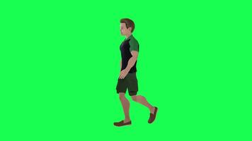 3d personaje en un verde pantalla, chromakey fondo, linda y divertido, haciendo diferente cosas, representación 3d caracteres y gente. video