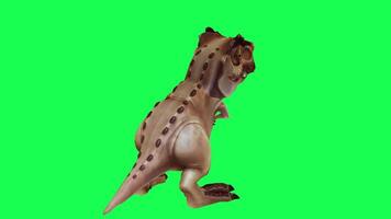 3d trex dinosauro verde schermo croma chiave rendere animazione diverso angolo animale video