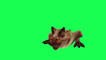 3d trex dinosaur green screen chroma key render animation different angle animal video