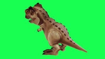 3d trex dinosauro verde schermo croma chiave rendere animazione diverso angolo animale video