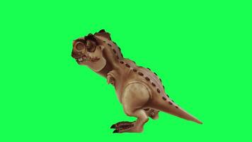 3d trex dinossauro verde tela croma chave render animação diferente ângulo animal video