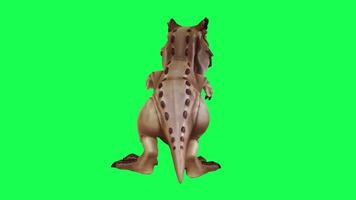 3d trex dinossauro verde tela croma chave render animação diferente ângulo animal video