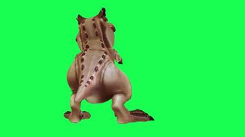 3d trex dinosaure vert écran chrominance clé rendre animation différent angle animal video