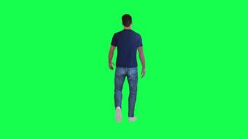 3d mensen groen scherm chorma sleutel wandelen praten in verschillend hoek Mens vrouw dame video