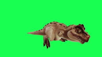 3d trex dinosaure vert écran chrominance clé rendre animation différent angle animal video