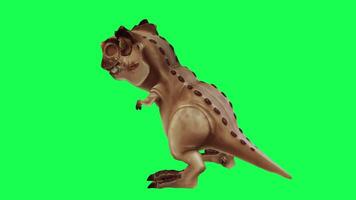 3d trex dinosauro verde schermo croma chiave rendere animazione diverso angolo animale video