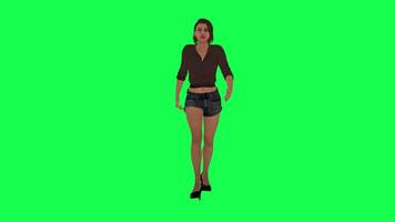 3d personas verde pantalla chorma llave caminar hablar en diferente ángulo hombre mujer dama video