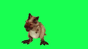 3d trex dinosaur green screen chroma key render animation different angle animal video