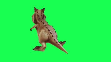 3d trex dinosaur green screen chroma key render animation different angle animal video