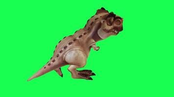 3d trex dinosaure vert écran chrominance clé rendre animation différent angle animal video