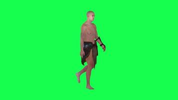 3d people green screen chorma key walk talk in different angle man woman lady video