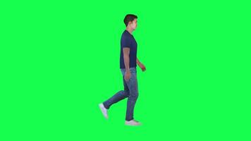 3d people green screen chorma key walk talk in different angle man woman lady video