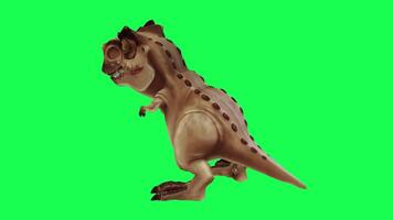 3d trex dinosaurus groen scherm chroma sleutel geven animatie verschillend hoek dier video