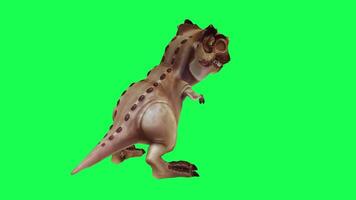 3d trex dinosaur green screen chroma key render animation different angle animal video