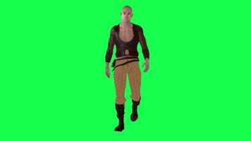 3d people green screen chorma key walk talk in different angle man woman lady video