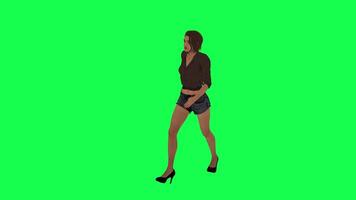 3d persone verde schermo chorma chiave camminare parlare nel diverso angolo uomo donna signora video