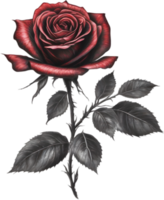 Red rose painting in full bloom, red rose tattoo, Rose illustration for decoration. AI-generated. png