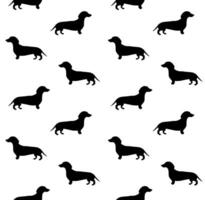 Seamless pattern of hand drawn dachshund vector