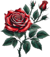 Red rose painting in full bloom, red rose tattoo, Rose illustration for decoration. AI-generated. png