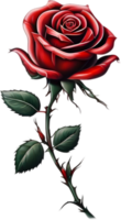 Red rose painting in full bloom, red rose tattoo, Rose illustration for decoration. AI-generated. png