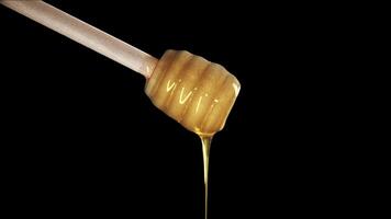 Honey dripping from honey dipper with alpha channel video