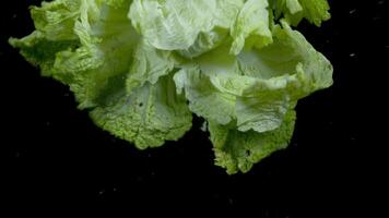 beven nat salade in langzaam beweging Aan zwart achtergrond video
