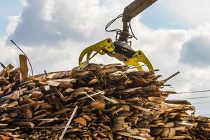 Log loader or forestry machine loads a log truck photo