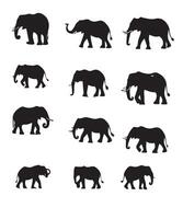 Elephant icons collection vector