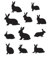 Conejo siluetas diseño vector