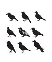 conjunto de negro pájaro siluetas vector