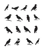 conjunto de negro pájaro siluetas vector