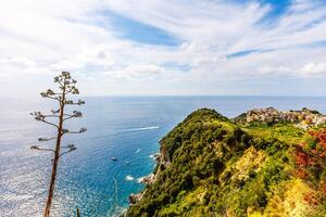 vista panorámica de casas coloridas en el pueblo de cinque terre riomaggiore, manarola foto