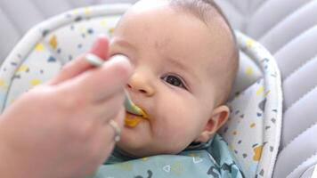 Mom feeding the baby boy with meat and vegetable and meat food video