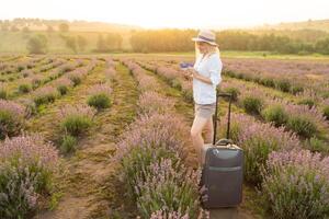 woman with luggage in lavender field photo
