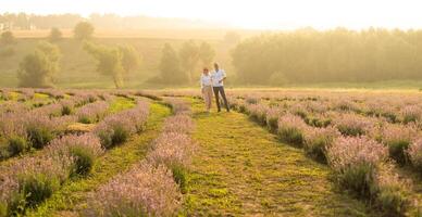 Beautiful couple on the lavender field photo