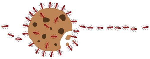 Red ants eating cookie on a white background, illustration. vector