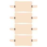 Spinal cord 1 on a white background, illustration. vector