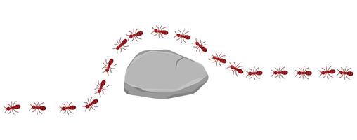 Red ants walk across rock on a white background, illustration. vector
