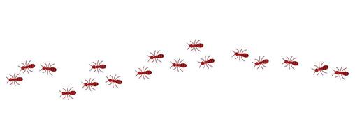 Red ants line on a white background, illustration. vector