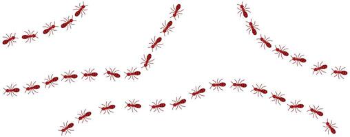 Red ants line 2 on a white background, illustration. vector