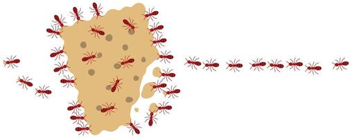 Red ants eating cracker on a white background, illustration. vector