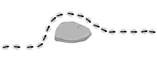 Black ants walk across rock on a white background, illustration. vector