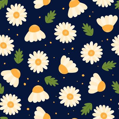 Chamomiles pattern. Cute meadow petal flowers seamless background. Repeating illustration of floral botanical elements and leaves.