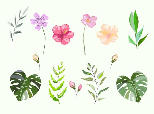 Floral collection with exotic tropical leaves and flowers. Simple romantic elements for sticker textile or print. design isolated elements on the white background. Monstera plant