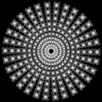 Abstract round pattern of gray color in the form of flowers arranged in a circle on a white background vector