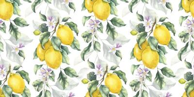 Lemon Branches with fruits, flowers and leaves. Hand drawn watercolor seamless pattern. Print of Tropical citrus fruit. Background for menu, package, cosmetic, textile, cards vector